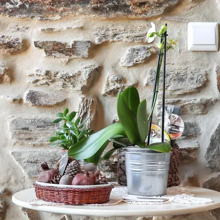 Nyaraló Cozy House In Seia With Fireplace Faia